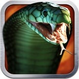 灵蛇杀手 Killer Snake v1.11