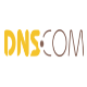 DNS域名批量解析工具 v1.1