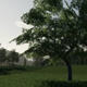 模拟农场19可放置的树木包装MOD v2.4