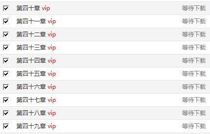 vip.jpg