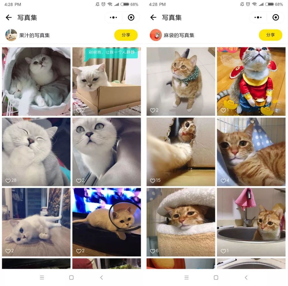 猫卡MeowCard 一款能在微信上云养猫的小程序