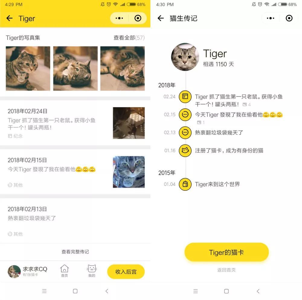 猫卡MeowCard 一款能在微信上云养猫的小程序