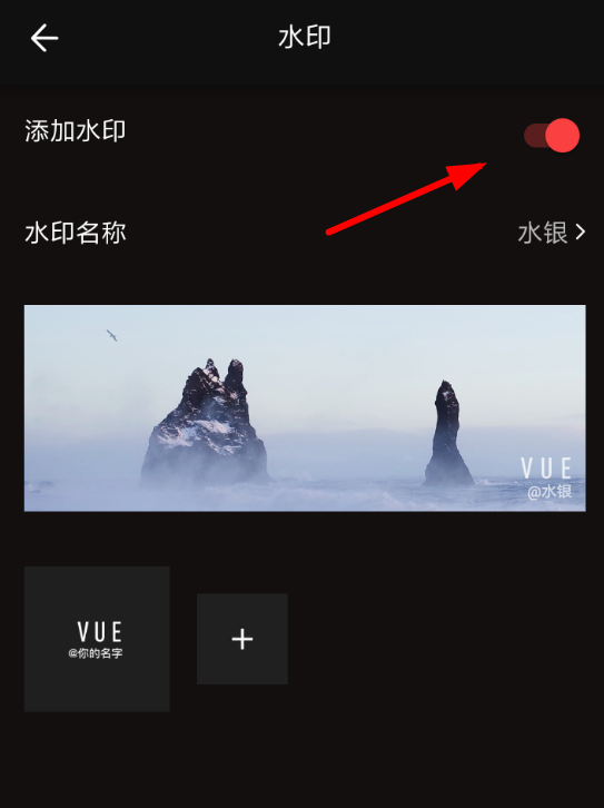 如何使用VUE怎么去除视频水印(vue视频怎么去除水印)