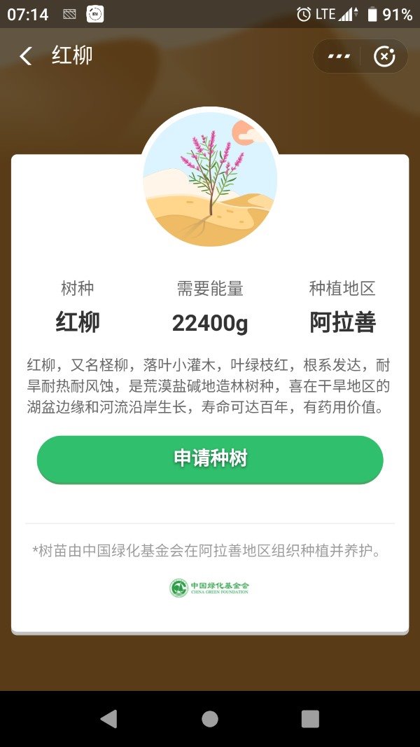 蚂蚁森林新树种红柳需要多少能量 蚂蚁森林红柳能量需求(蚂蚁森林红柳沙柳要多少能量)