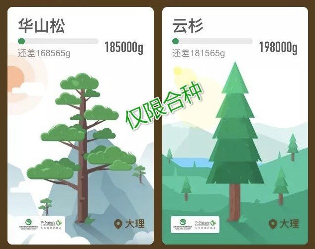 支付宝蚂蚁森林上线新树种 云杉和华山松仅限合种(支付宝蚂蚁森林种榆树有什么用)