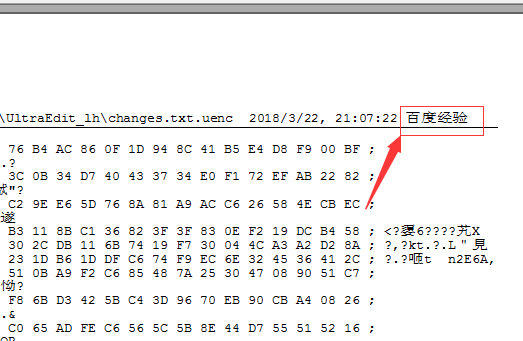 UltraEdit中页面添加页眉的详细操作步骤