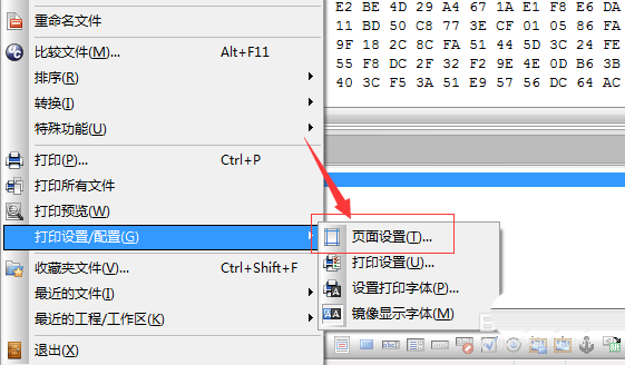 UltraEdit中页面添加页眉的详细操作步骤