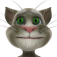 会说话的汤姆猫 Talking Tom Cat v2.6