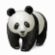 Panda Batch File Renamer(熊猫文件批量改名) v2.6