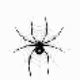 1799蜘蛛池软件 v1.4