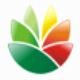 EximiousSoft Logo Designer(Logo设计软件) v3.92